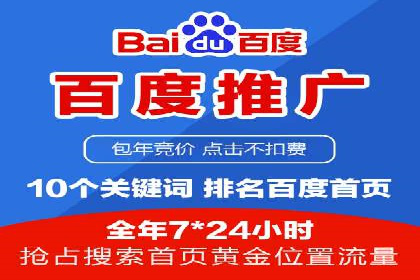 专业SEM服务公司案例分析报告